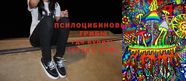 apvp Бородино