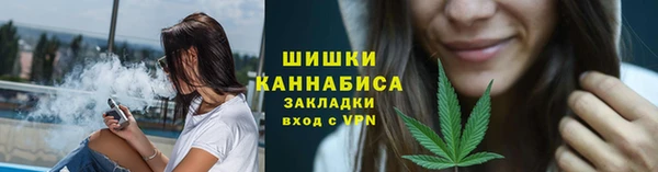 apvp Бородино