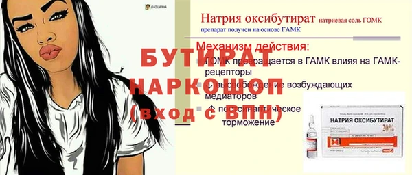 apvp Бородино
