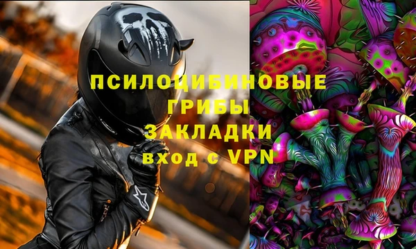apvp Бородино