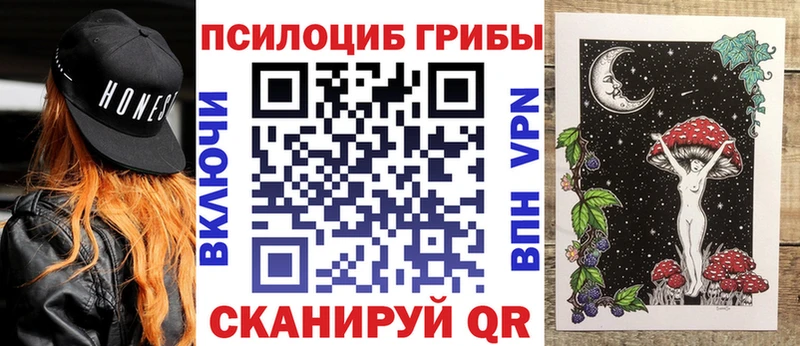 где купить наркоту  Сретенск  Галлюциногенные грибы MAGIC MUSHROOMS 